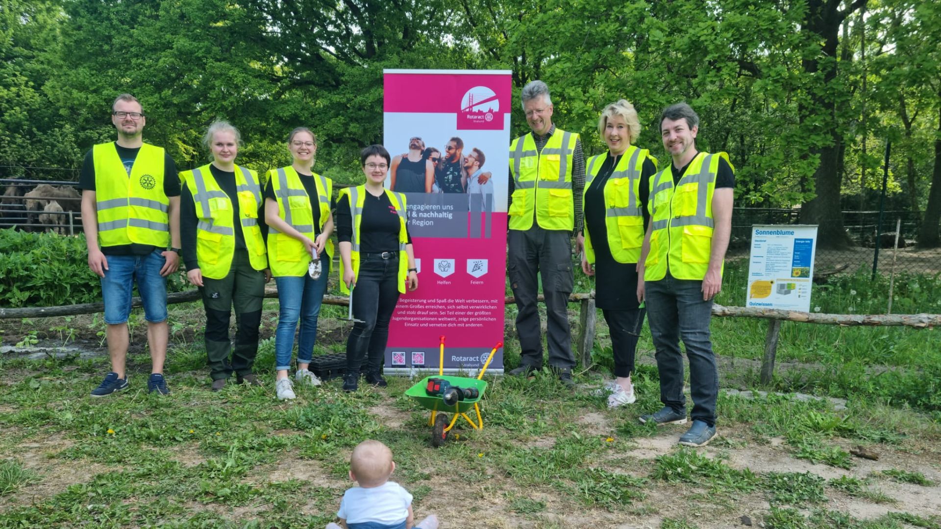 Sonnenblumen pflanzen im Zoo Stralsund nach Bier-Pong-Turnier